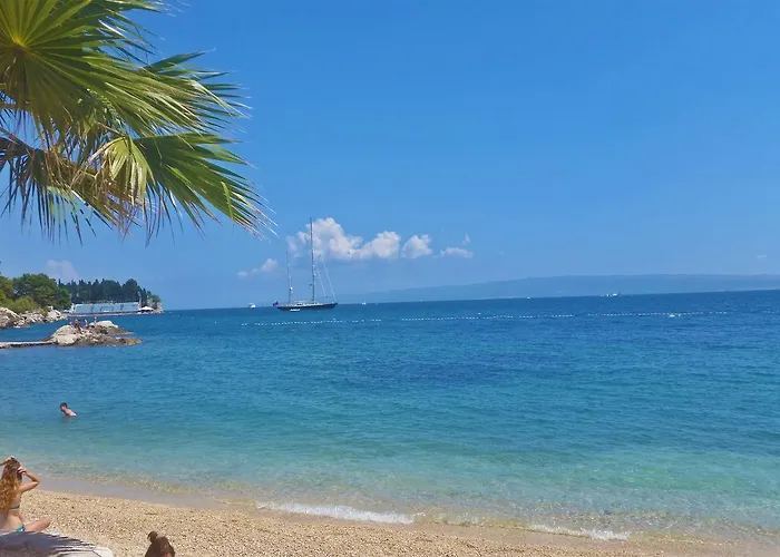 아파트먼트 모니 아파트 *